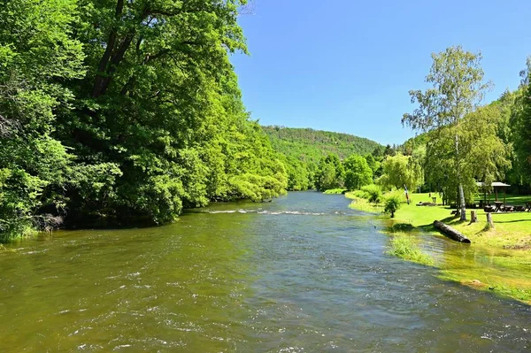 Krásná Letní Krajina Řekou Lesem Sluncem Modrou Oblohou Přírodní Barevné — Stock fotografie