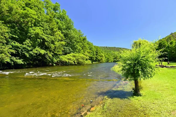 Krásná Letní Krajina Řekou Lesem Sluncem Modrou Oblohou Přírodní Barevné — Stock fotografie
