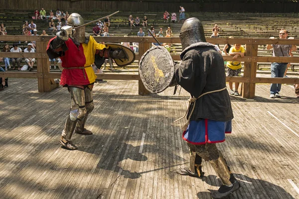 Lviv Ucrania Agosto 2018 Festival Historia Medieval Duelos Caballeros Parque —  Fotos de Stock