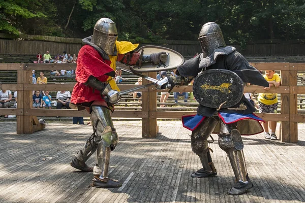 Lviv Ucrania Agosto 2018 Festival Historia Medieval Duelos Caballeros Parque — Foto de Stock