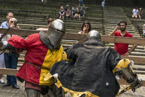 Lviv Ucrânia Agosto 2018 Festival História Medieval Duelos Cavaleiros Parque — Fotografia de Stock
