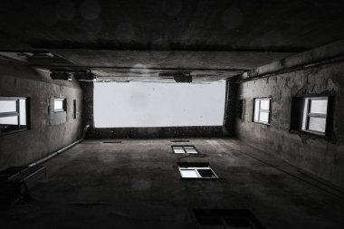 Bahçedeki ıslak kar