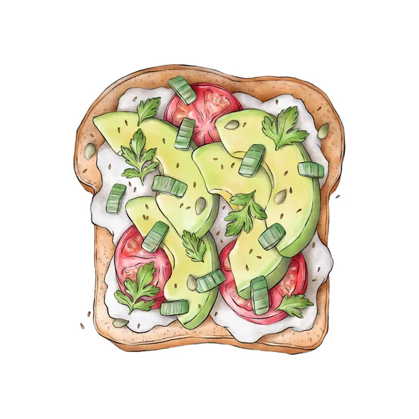 Tostadas Veganas Comida Saludable Ilustración Dibujada Mano Aislada Sobre Fondo —  Fotos de Stock