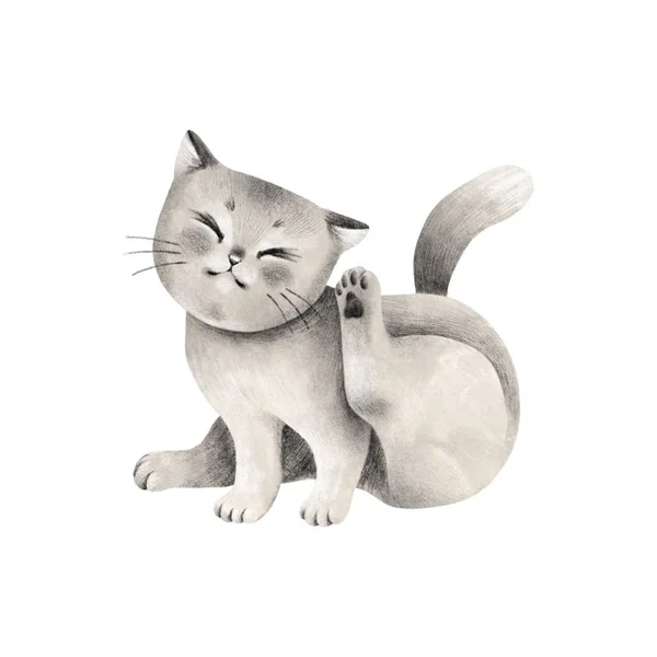 Cute Kitten Hand Drawn Illustration Isolated White Background — Stock Photo, Image