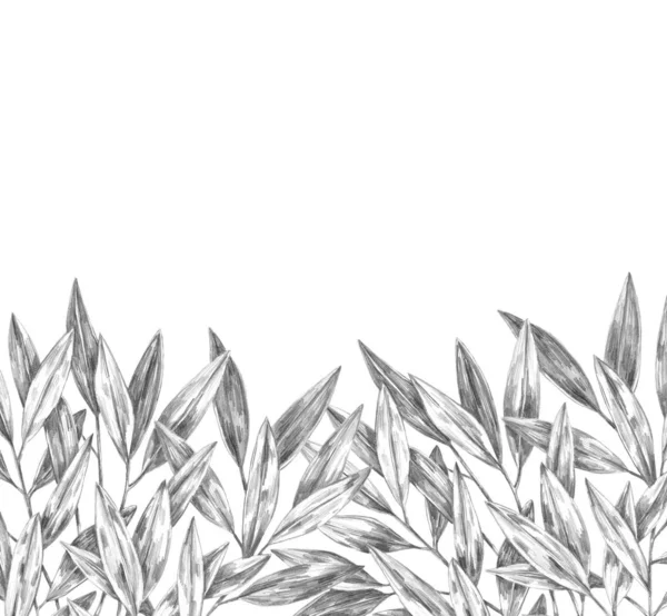 Hand Drawn Leaves Graphite Pencil Illustration — Stock Photo, Image