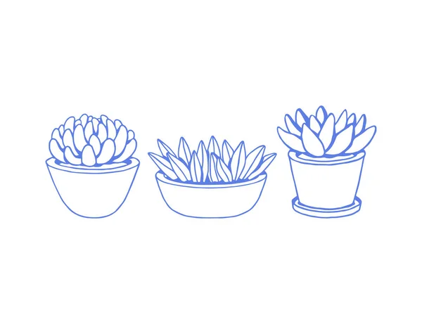 Plantas domésticas. Conjunto de vectores . — Vector de stock