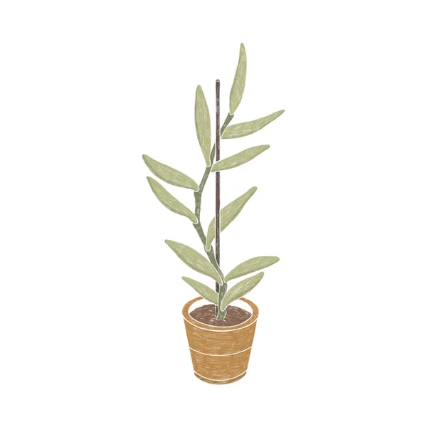 Hand Painted Houseplant Pot White Background — 스톡 사진
