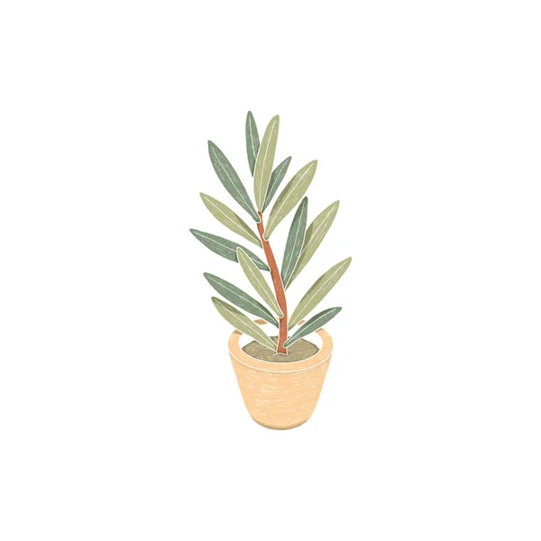 Cute houseplant. Hand painted image for creative design of posters, cards, invitations, prints, websites, banners, etc.