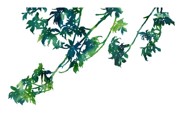 식물학적 이미지를 그렸다 초대장 사이트 포스터의 창조적 디자인을 장식적 그림입니다 — 스톡 사진