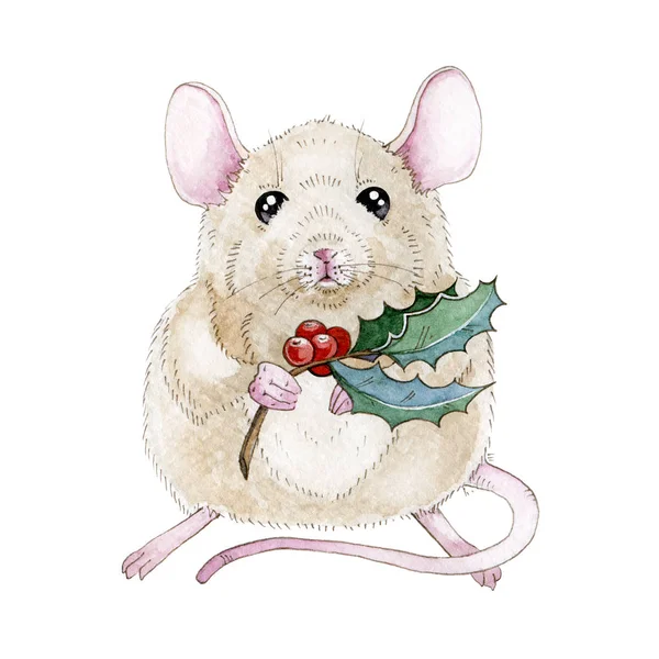 Watercolor mouse or rat illustration with nice Christmas holly branch. Cute little mouse a simbol of chinese zodiac 2020 new year with holly and red berries isolated on white background. — Stock Photo, Image