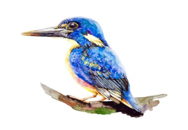 Bir ağaç dalı üzerinde oturan bir kingfisher kuş suluboya illüstrasyon. Beyaz arka planda izole edilmiş parlak mavi bir kuşun elle çizilmiş resmi.