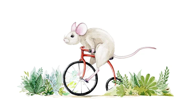 Aquarel illustratie van schattige kleine muis rijden een fiets door de struiken. Hand getrokken water kleur kunst van een rat, geïsoleerd op witte achtergrond. Perfect voor wenskaarten, trendy prints — Stockfoto