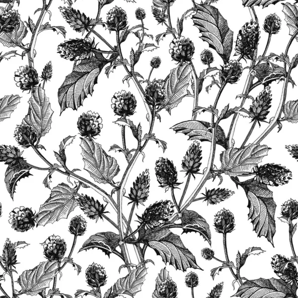 Nahtloses Muster aus Psoraleenblüten mit Blättern. handgezeichnetes Bakuchiol, gesundes Kraut, natürliches Retinol mit schwarzer Tinte, isoliert auf weißem Hintergrund — Stockfoto