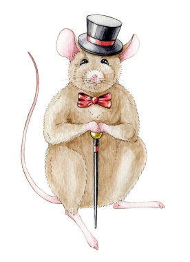 Elinde bir baston ile bir şapka bir fare (sıçan) el çizilmiş suluboya Illustration. Beyaz arka planda izole komik küçük fare
