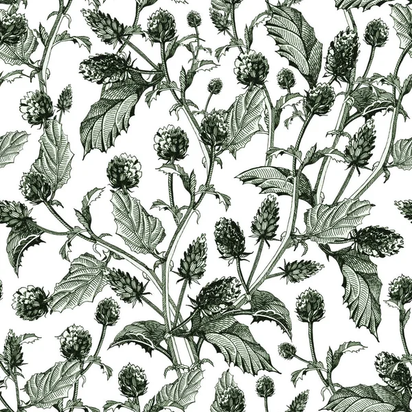 Yapraklı psoralea çiçeklerinin dikişsiz deseni. El çizilmiş bakuchiol, sağlıklı bitki, yeşil mürekkepile doğal retinol, beyaz arka plan üzerinde izole — Stok fotoğraf