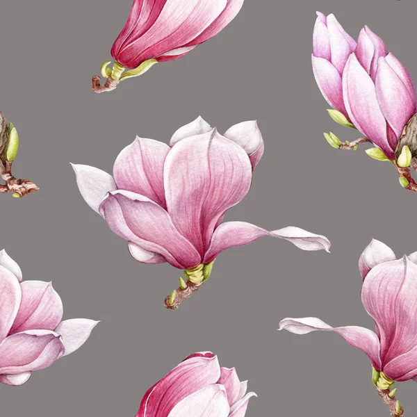 Acquerello rosa magnolia fioritura modello senza soluzione di continuità. Bella mano disegnato teneri fiori primaverili su uno sfondo grigio . — Foto Stock