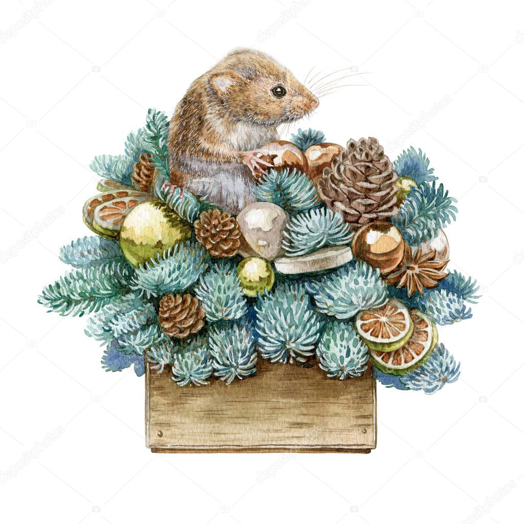 Watercolor illustration of a Christmas decor composition. New Year decoration with a funny small mouse, balls, cones, pine and fir branches in a wooden box, isolated on white background.