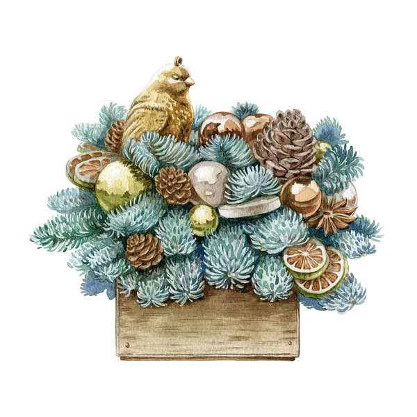 Akvarell illustration av en juldekor komposition. Nyårsdekoration med en gyllene fågel, bollar, torra citroner, koner, tall och Gran grenar i en trälåda, isolerad på vit bakgrund. — Stockfoto