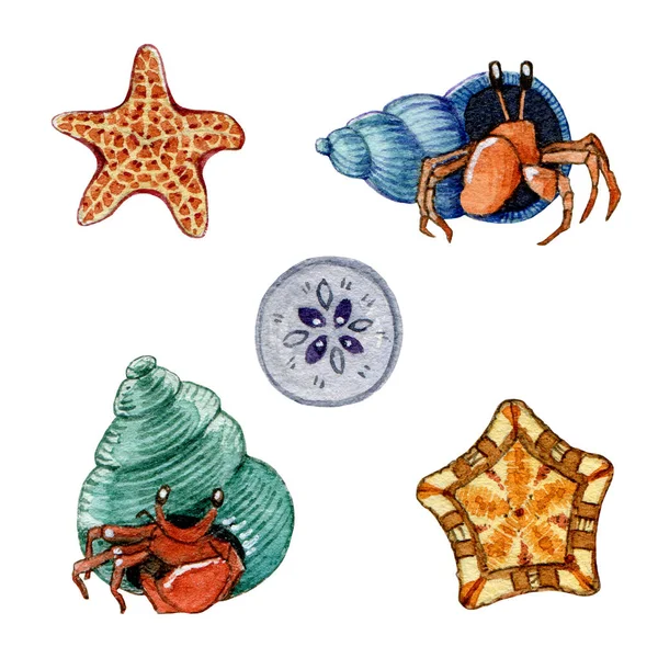 Lustige Krabben und Sternfische Aquarell Illustrationsset. Handgezeichnete farbenfrohe Meeresbewohner. Meerestiere unter Wasser. Kleine Schalenkrebse und Seesterne isoliert auf weißem Hintergrund — Stockfoto