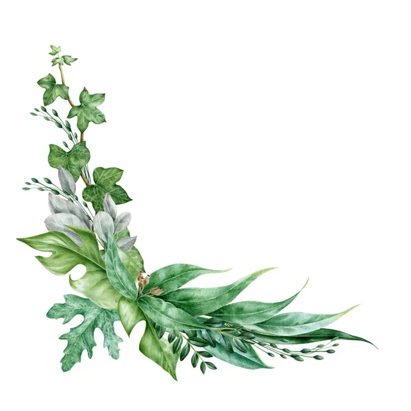 Folha verde bouquet aquarela ilustração. Hera e eucalipto folhas exóticas em arranjo decorativo. Decoração verde floral tropical exuberante para cartão de convite de casamento. Isolado sobre fundo branco — Fotografia de Stock