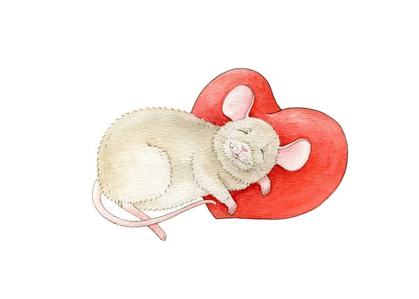 Cute sleeping little mouse on a red heart watercolor illustration. Small cartoon mousy hand drawn image. Perfect for Valentine cards and prints. Isolated on white background — Stock Photo, Image