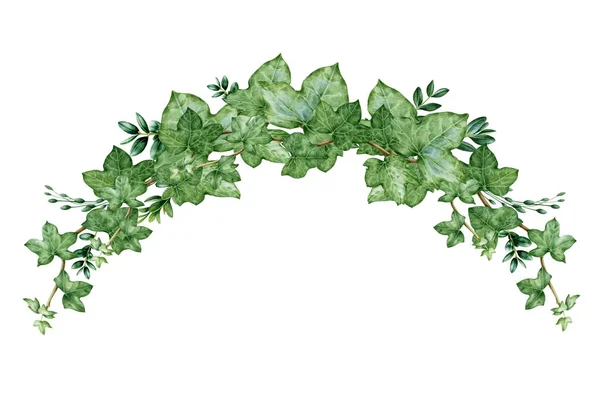 緑のツタアーチ花束水彩イラスト。手の装飾的な快楽の境界線を描いた。常緑の庭植物植物の装飾。白い背景に隔離されたアイビー緑豊かな配置 — ストック写真