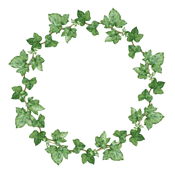 Ivy green wreath watercolor illustration. Hand drawn close up delicate decorative hedera wreath. Evergreen garden plant botanical ornament. Ivy lush circle arrangement isolated on white background. — Stock Photo, Image