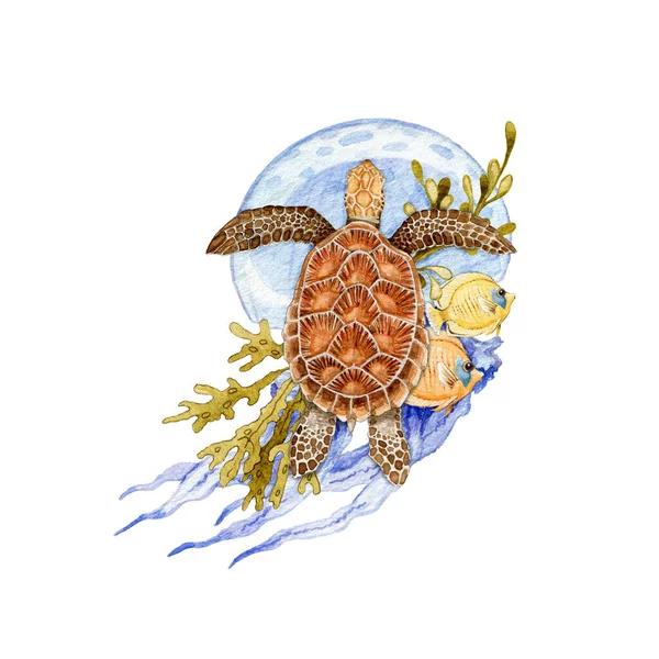 Sea turtle with jellyfish watercolor illustration. Beautiful coral reef hand drawn underwater animals. Sea turtle with coral fish, seaweed colorful arrangement. Marine life animals on white background