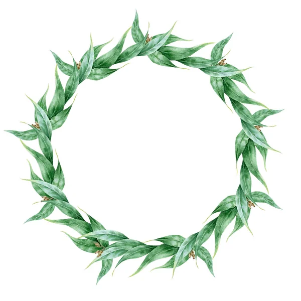 ユーカリの葉のリース水彩絵具。自然な植物のフレーム現実的なイメージ。手描きの美しい緑豊かなユーカリのハーブラウンド。白を基調とした装飾的な緑の花輪 — ストック写真
