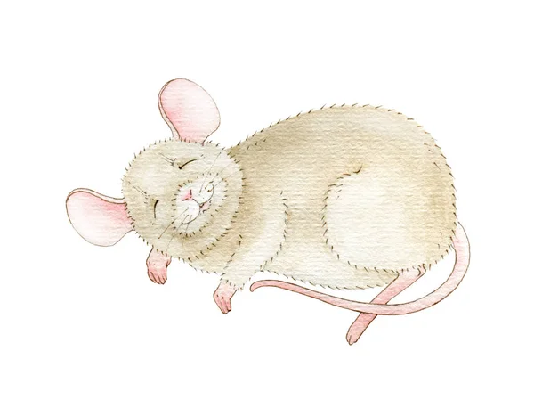 Ilustrasi cat air manis dari tikus kecil yang tertidur. Gambar gambar tangan mousy kartun kecil. Citra tikus lucu mengantuk terisolasi pada latar belakang putih — Stok Foto