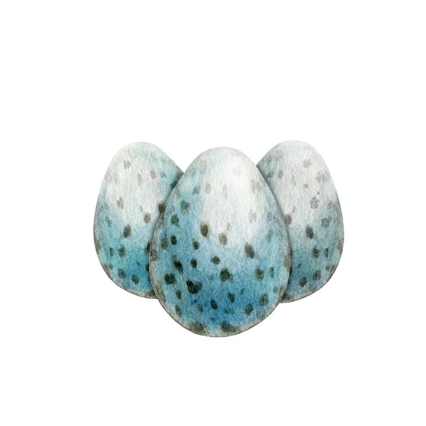 鳥の卵水彩イラスト。手描きのグループはスポットと現実的な有機卵を閉じます。伝統的なイースターのシンボル。白を基調とした天然成分・元素 — ストック写真