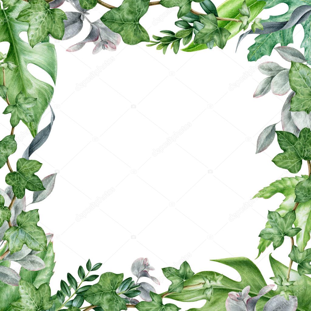 Square frame green leaf watercolor illustration. Eucalyptus, monstera and buxus evergreen lush plants hand drawn trendy card design. Botanical herbs elegant arrangement isolated on white background