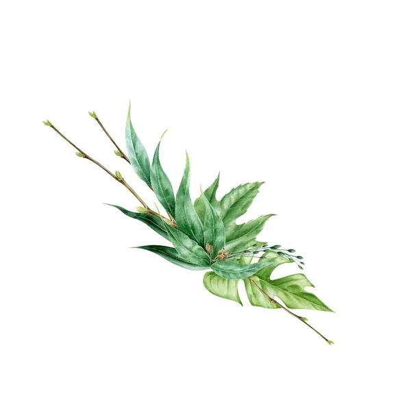 Zöld levél elrendezése akvarell illusztráció. Eukaliptusz, monstera egzotikus levelek elegáns dekoratív csokorban. Buja trópusi virágos zöldségek díszítik az esküvőt. Fehér alapon elszigetelve — Stock Fotó