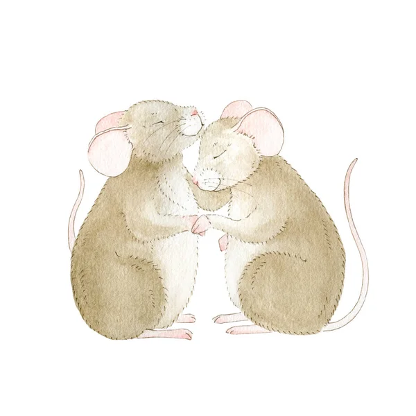 Dwa śmieszne małe myszki przyjaciół akwarela ilustracja. Przytulanie malutkich myszek narysowanych ręcznie. Romantyczna para uroczych zwierząt odizolowanych na białym tle. — Zdjęcie stockowe