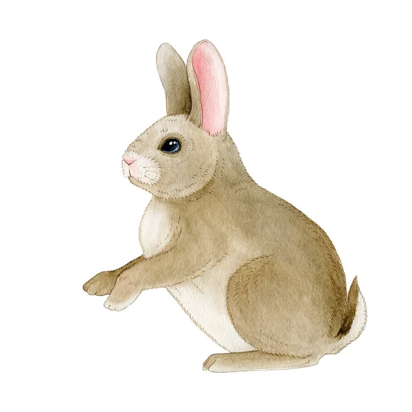 토끼의 작고 재미있는 물감 이미지입니다. 손에 귀여운 작은 토끼를 그렸어. 흰 배경에 분리되어 있는 매우 아름다운 동물 삽화 요소. — 스톡 사진