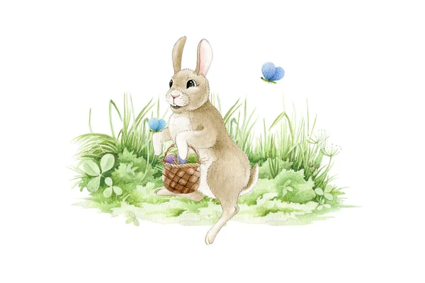 Lapin de Pâques avec un panier d'œufs. sur l'illustration aquarelle du pré. Drôle petit lapin mignon sur l'herbe verte. Salutation traditionnelle Image symbole de Pâques. Image dessinée à la main de lièvre dessin animé — Photo