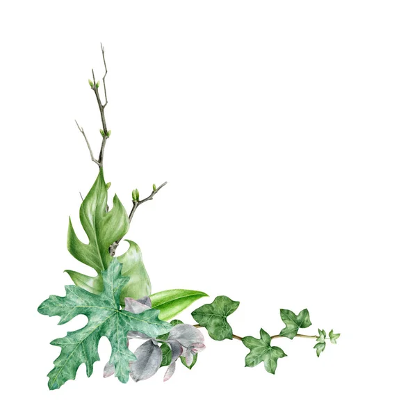 Buquê folha verde aquarela mão desenhado arranjo elegante. Hera, eucalipto e monstera folhas exóticas em buquê decorativo. Decoração verde floral tropical exuberante para cartão de casamento no fundo branco — Fotografia de Stock