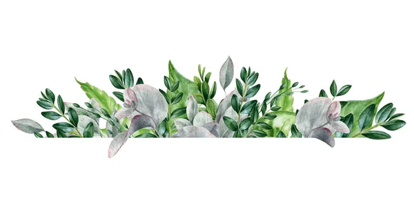 Зеленый лист акварелью нарисован элегантным расположением границ. Эвкалипт и баксус экзотические листья в декоративном букете. Пышный тропический цветочный зеленый декор для свадебной открытки на белом фоне — стоковое фото