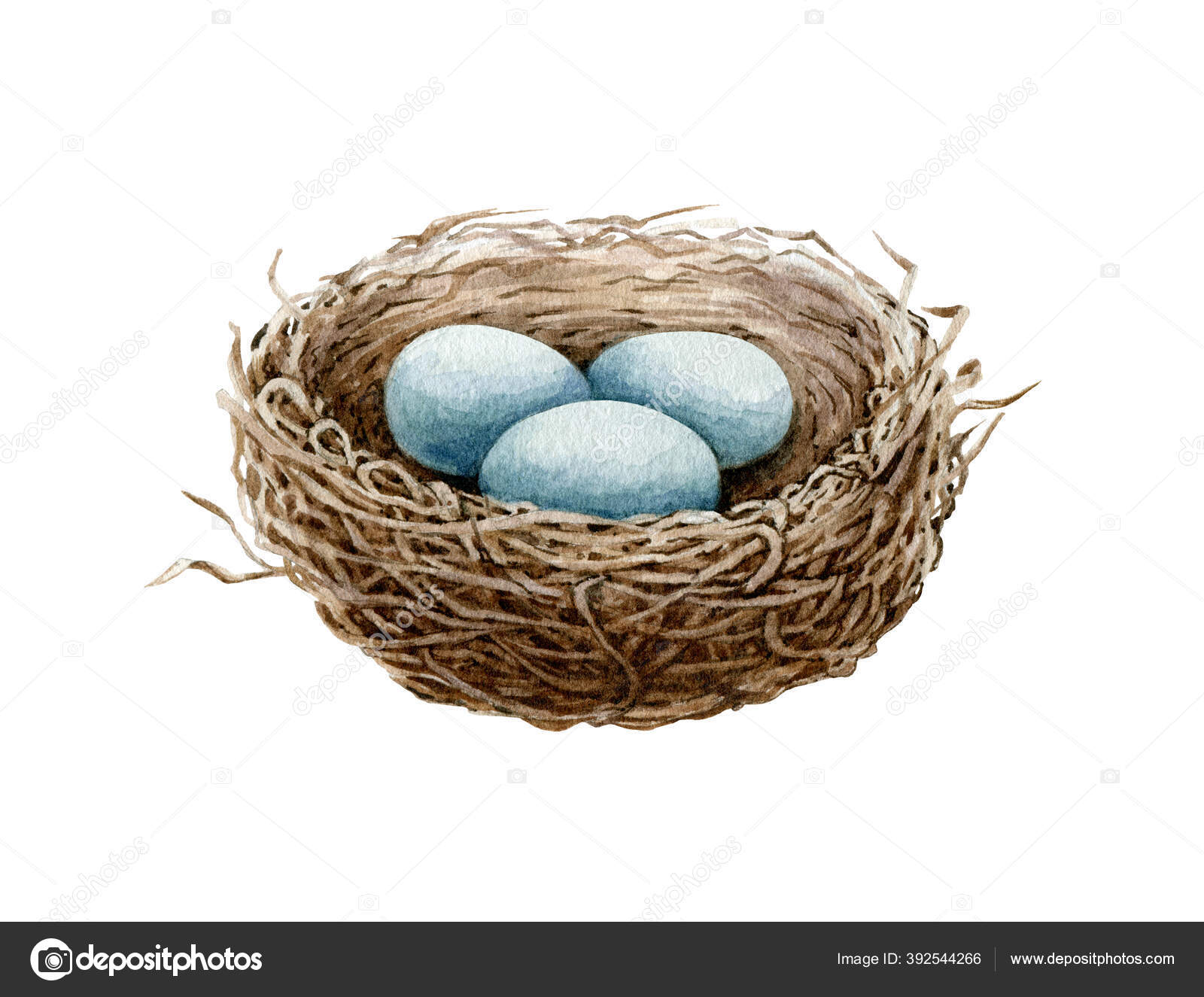 Bird nest watercolor illustration. Cozy spring natural bird house of straw  and branches with blue eggs. Close up hand draw nest. Symbol of Easter,  love and family. Isolated on white background Stock