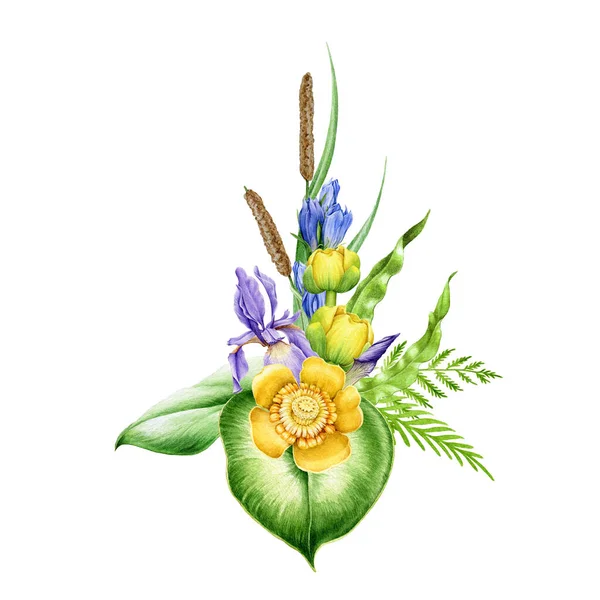 Iris, liliom, páfrányvirág elrendezése akvarell illusztráció. Kézzel rajzolt reális botanikus virágok elegáns dekorációs elem. Virágzó nyári folyó és tavi virágok buja növényzettel — Stock Fotó