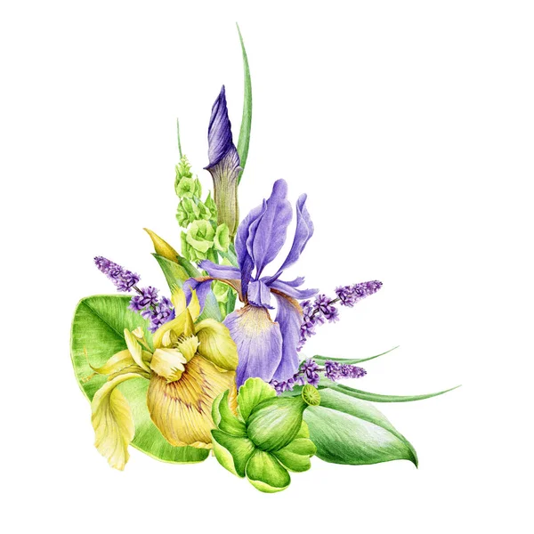 Iris blommor med frodig grönska arrangemang akvarell illustration. Hög kvalitet handritade blomma dekorativa element. Sommar blommor i elegant arrangemang med exotiska blad på vit bakgrund — Stockfoto
