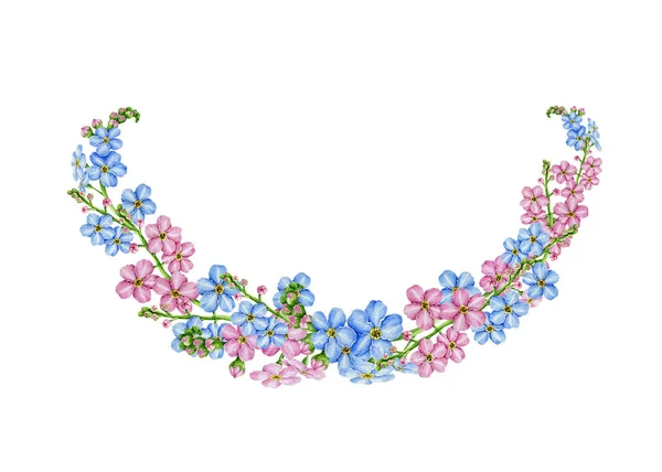 忘了我的安排蓝色和粉色花水彩画。手工绘制的麝香草本植物边界。柔和的春天，浪漫的花朵绽放，花蕾在白色的背景上 — 图库照片