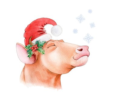 Kırmızı Noel Baba şapkalı, kar tanelerini yakalayan komik boğa. 2021 yılının Xodiac sembolü suluboya resim. Karikatür öküzü, Noel şapkalı boğa, beyaz arka planda Holly dekoru.