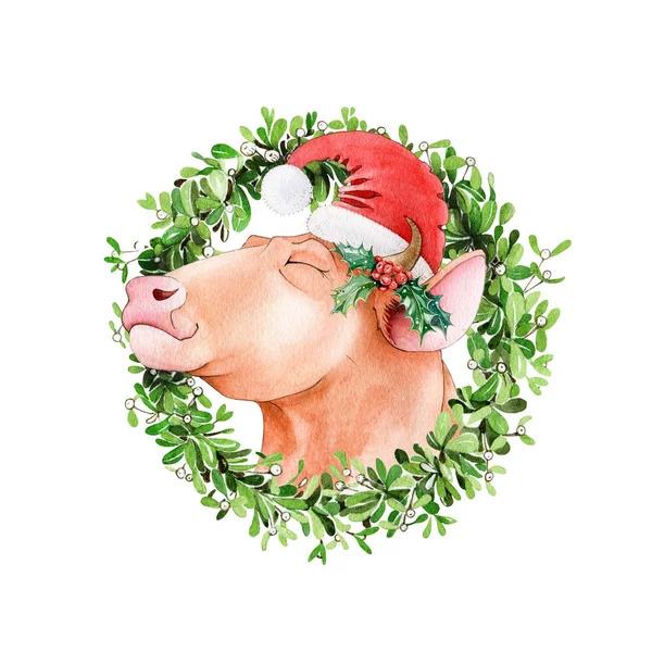 Χαριτωμένο ταύρος (αγελάδα) σε κόκκινο καπέλο Σάντα και γκι στεφάνι ακουαρέλα εικονογράφηση. Χειροποίητο ζωδιακό σύμβολο του 2021 του νέου έτους. Βόδι καρτούν ή ταύρος με χριστουγεννιάτικο καπέλο. Νέα έτος μασκότ σε λευκό φόντο — Φωτογραφία Αρχείου