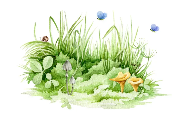 Velikonoční zelená tráva s roztomilými houbami a motýly zblízka akvarel ilustrace. Bujná jarní tráva - prvek louky. Pozadí s jetelem, čerstvými bylinkami a přírodními rostlinami — Stock fotografie