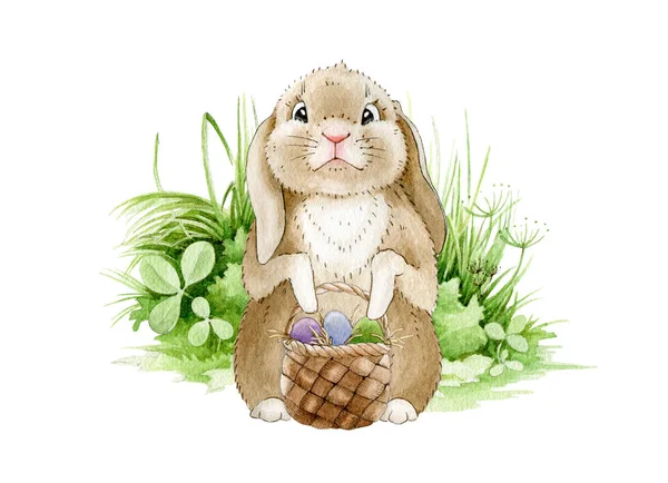 Lapin de Pâques sur l'illustration aquarelle du pré. Drôle petit lapin mignon sur l'herbe verte avec un panier plein d'œufs. Symbole traditionnel de Pâques saluant l'image. Image dessinée à la main de lièvre dessin animé — Photo