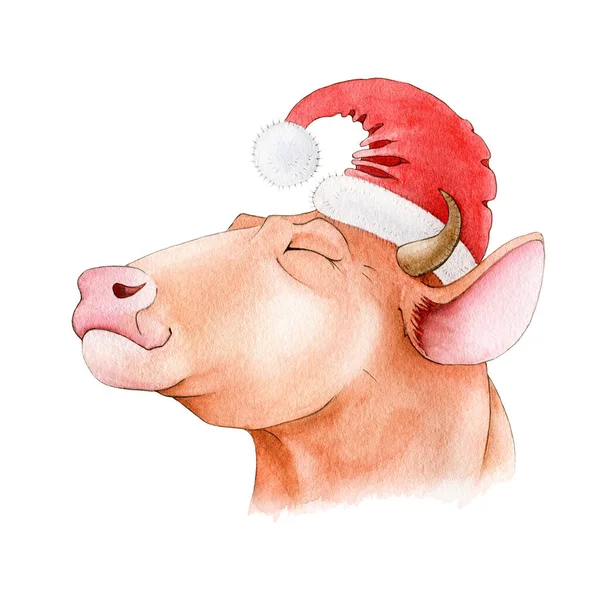 Happy bull (cow) in red santa hat watercolor illustration. Hand drawn zodiac symbol of 2021 new year. Cartoon ox or bull in christmas hat. New year mascot isolated on white background — Stock Photo, Image