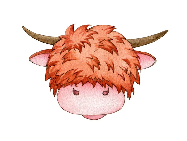 Divertente cartone animato Highland toro o mucca acquerello illustrazione. Disegnato a mano carino simbolo zodiacale cinese del 2021nuovo anno. Dolce inverno cartone animato fattoria animale elemento ritratto. Felice bue su sfondo bianco — Foto Stock