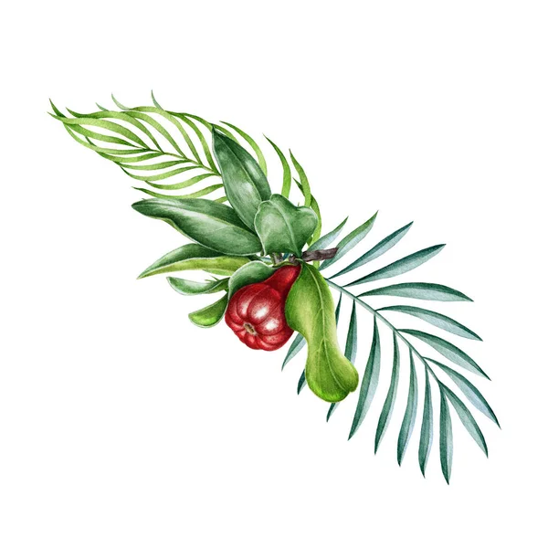 Granátové jablko ovoce a palmové listy akvarel ilustrace. Ručně tažený čerstvý granát, organické ovoce a tropické palmové listy. Exotické květinové aranžmá izolované na bílém pozadí. — Stock fotografie