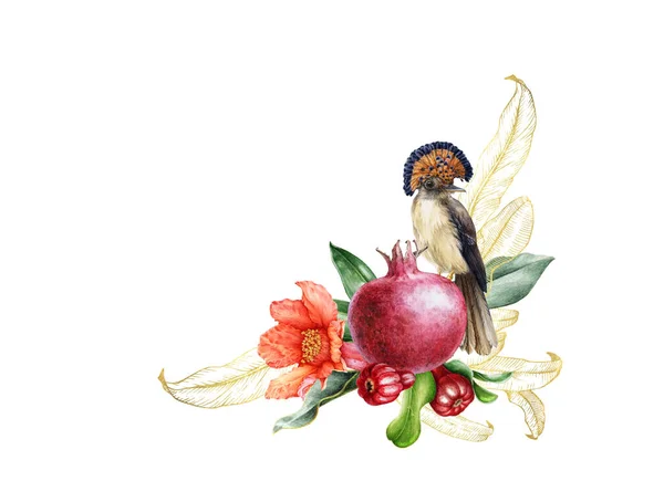 Fliegenschnäpper-Vogel mit Granatapfelfrucht und handgezeichnetem Aquarell-Arrangement. Nahaufnahme Illustration exotischer tropischer Vögel, Früchte und goldener Blätter Dekor. Isoliert auf weißem Hintergrund — Stockfoto